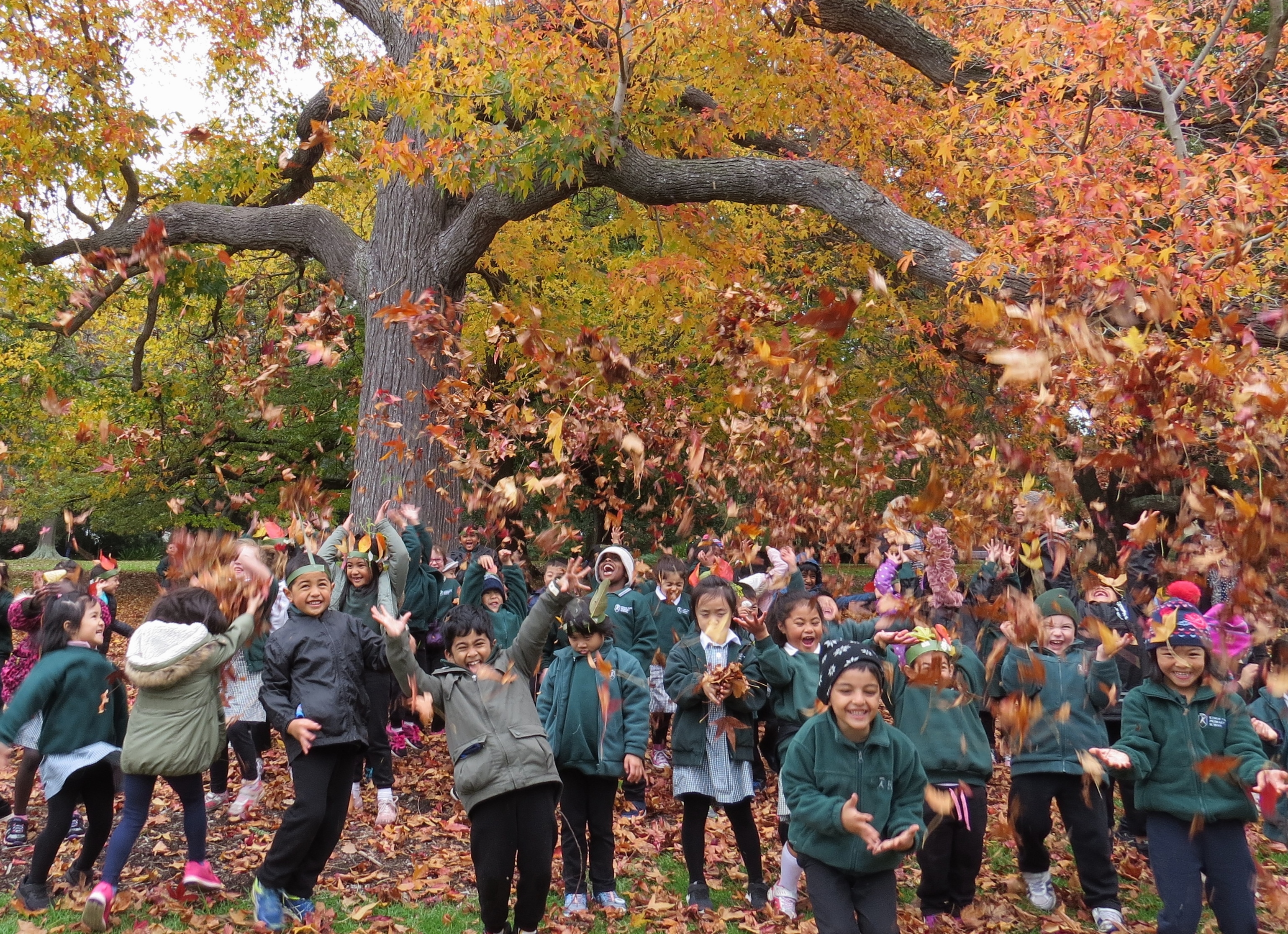 /uploaded_files/media/gallery/1528179174IMG_5728 (2).jpg